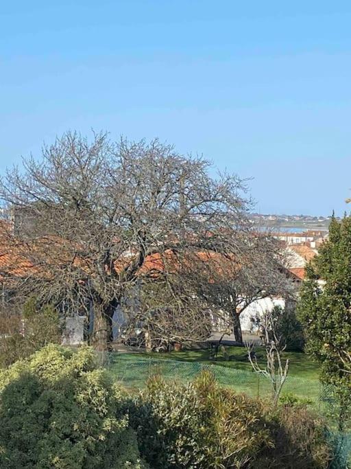 Magnifique Maison Avec Piscine Villa Le Port-des-Barques Exterior photo